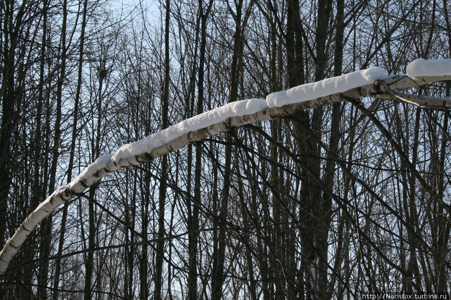 Последствие ледяного дождя 2010 года Одинцово, Россия