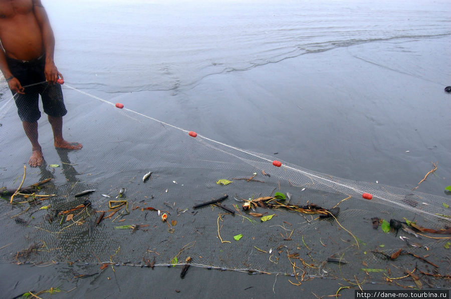Помимо рыбы в сеть попадается различный мусор, принесенный рекой из джунглей. Провинция Галф, Папуа-Новая Гвинея