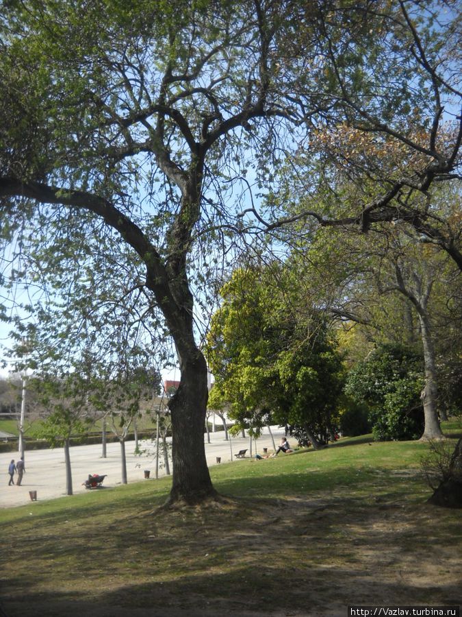 В парке Лиссабон, Португалия