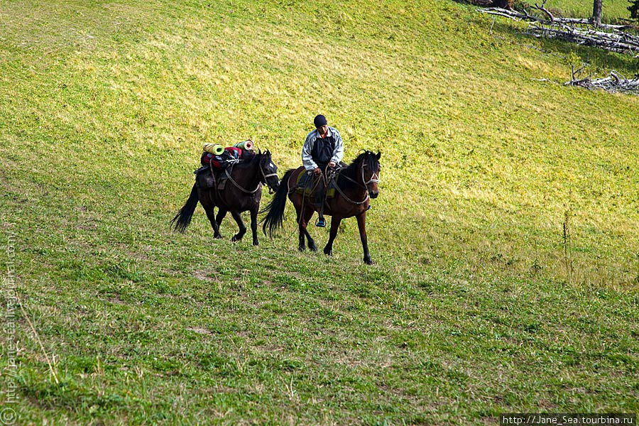 наши кони Тюнгур, Россия