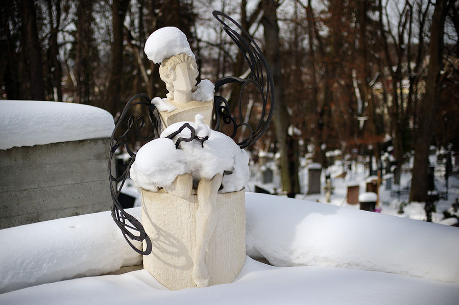Зимние зарисовки Лычаковского Некрополя Львов, Украина