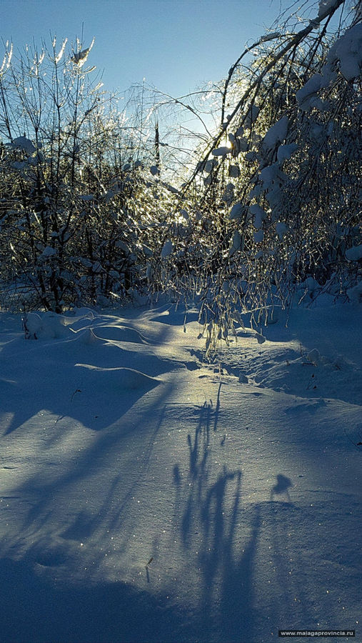 Сказочная зима в Подмосковье Железнодорожный, Россия