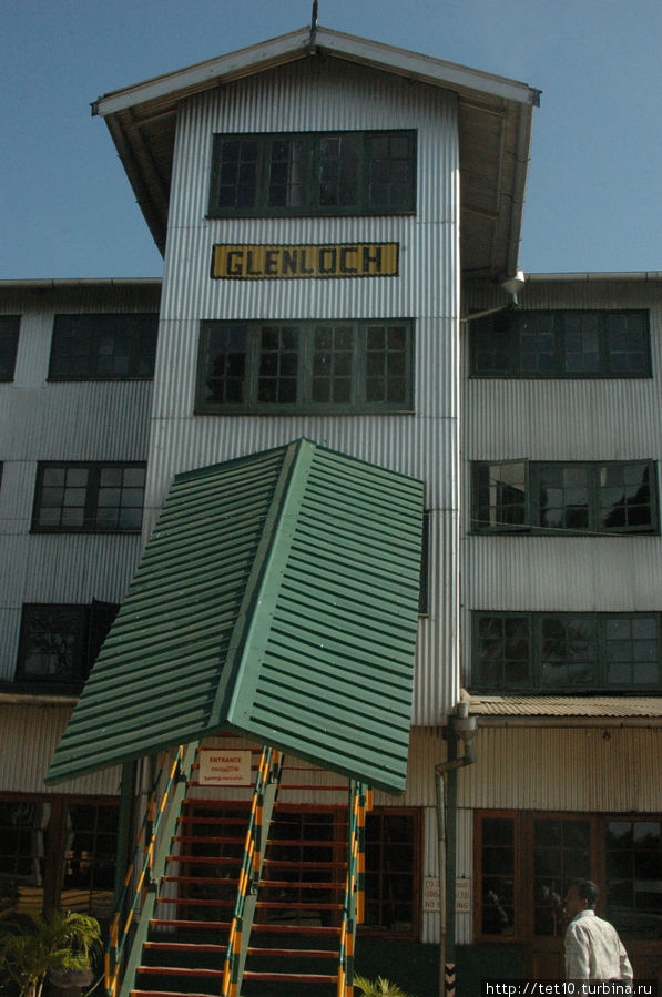 Чайная фабрика. Нувара Элия, Шри-Ланка
