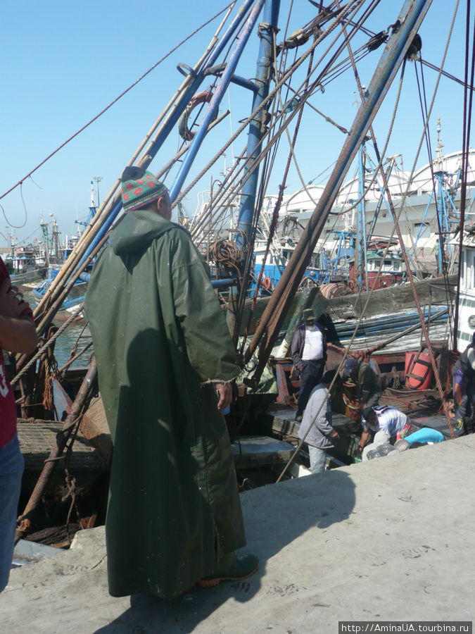 морячок-рыболов Марокко