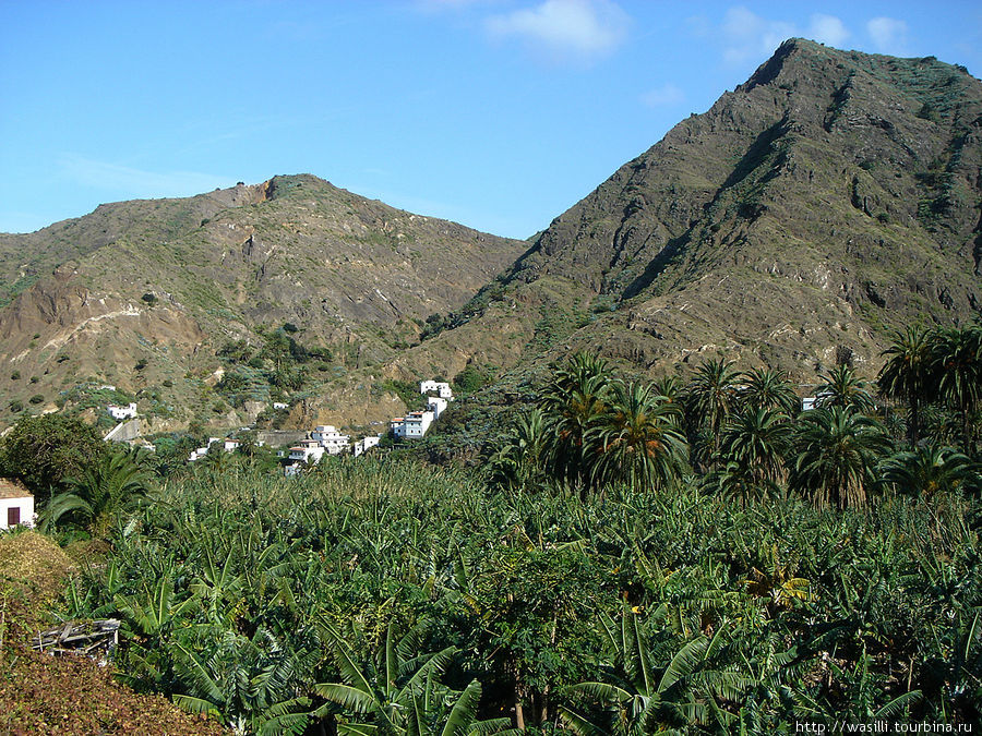 Банановые плантации у подножья гор. Остров Ла-Гомера, Испания