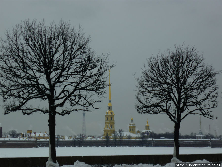 Зимний Петербург Санкт-Петербург, Россия