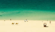 Jumeirah beach