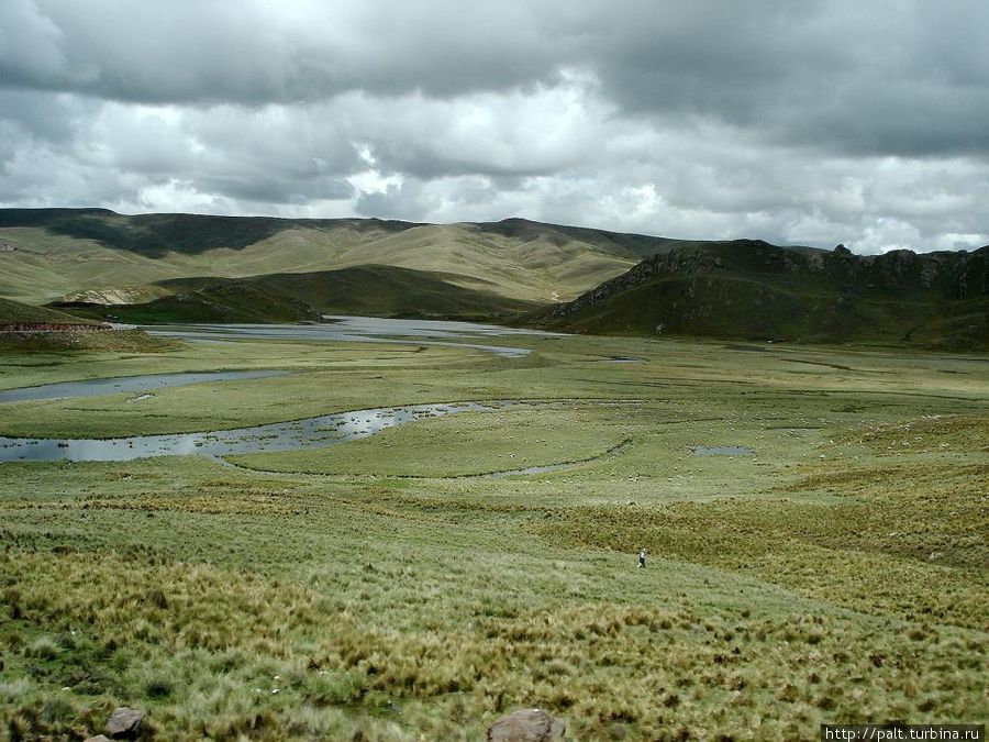 Лагуны Альтиплано Регион Пуно, Перу