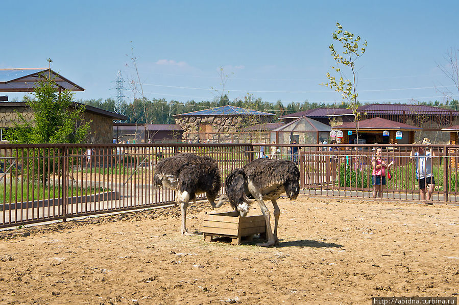 ЭкZOOтик Парк Москва, Россия