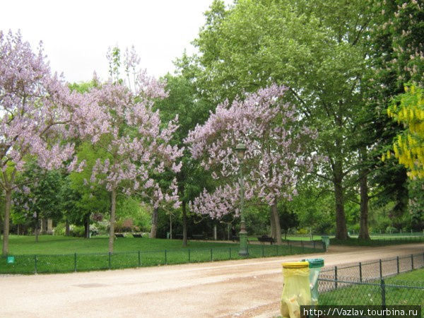 Весна идёт, весне дорогу! Париж, Франция