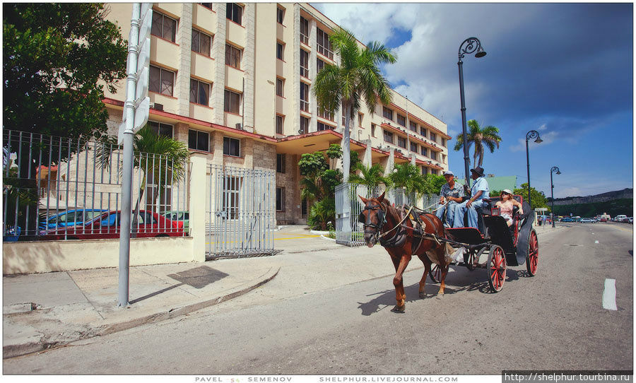 Повсеместный кубинский транспорт. Хорошая лошадь стоит около 5-6 тысяч песо (180$) Гавана, Куба