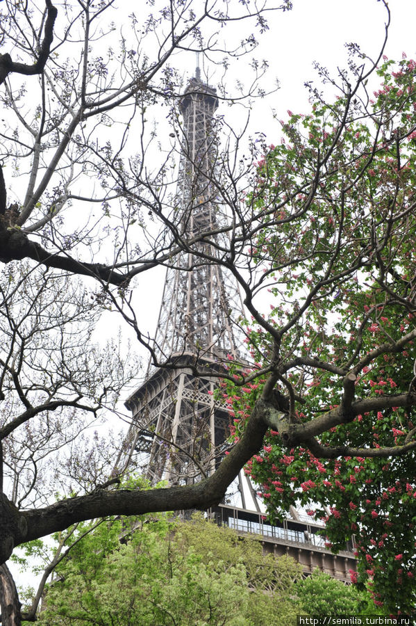Эйфелева башня. Где нибудь в париже а там. Мост влюбленных в париже. Эйфелева башня железногорск. Где нибудь в париже а там.