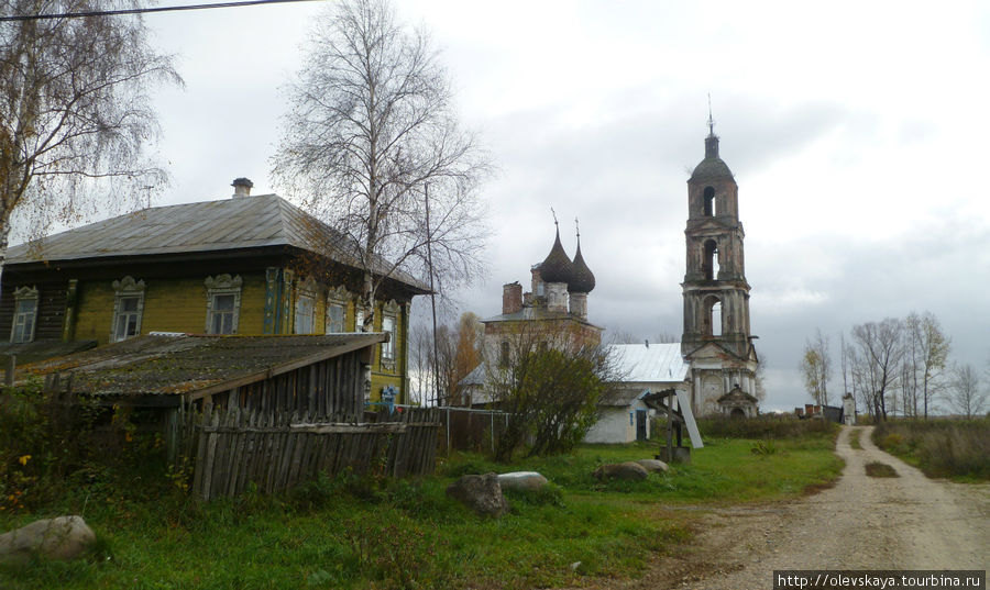 На кладбище не пошли: испугалиись своры собак Ярославская область, Россия