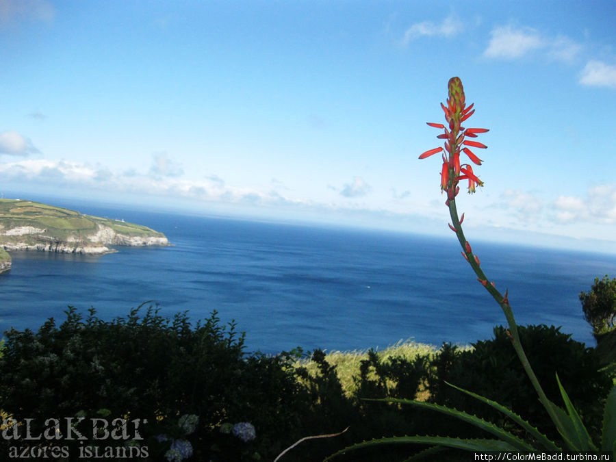 Азорские острова: Green islands Регион Азорские острова, Португалия