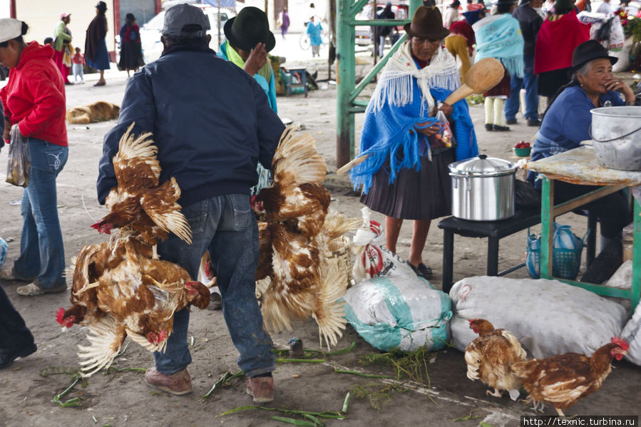 Эквадорский рынок Сакисили, Эквадор