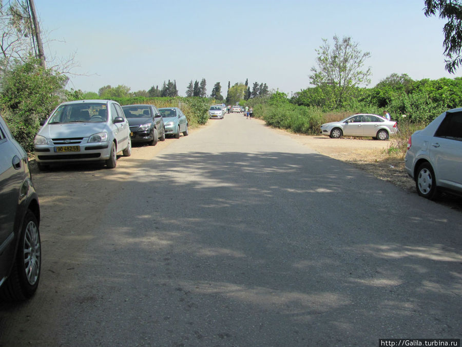 Стоянка машин у Черепашьей речки. Центральный округ, Израиль