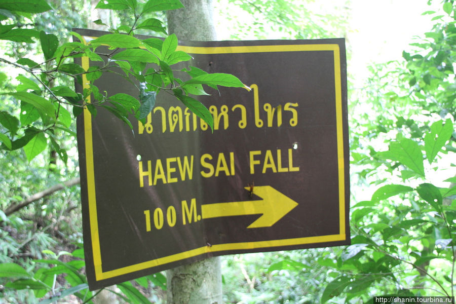 Через джунгли к водопаду Хаеу Суват Кхао-Яй Национальный Парк, Таиланд