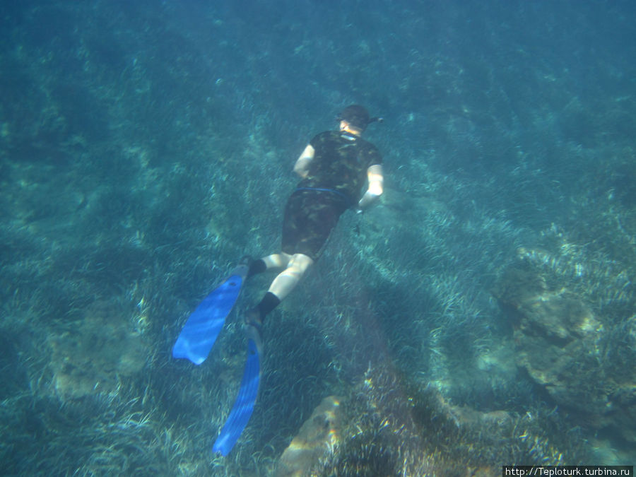 Под водой на задержке дыхания Турция