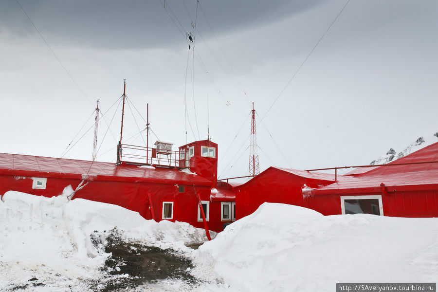 Чилийские полярники Остров Гринвич, Антарктида