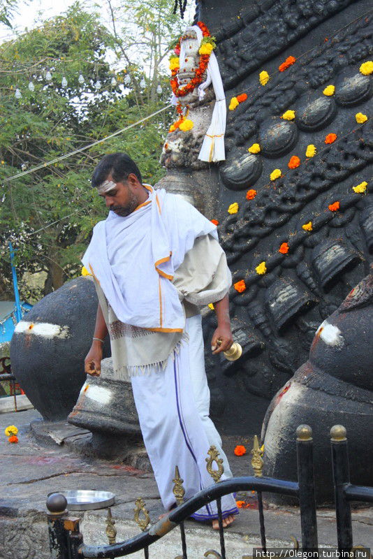 Священнослужитель звенящий колокольчиками Майсур, Индия