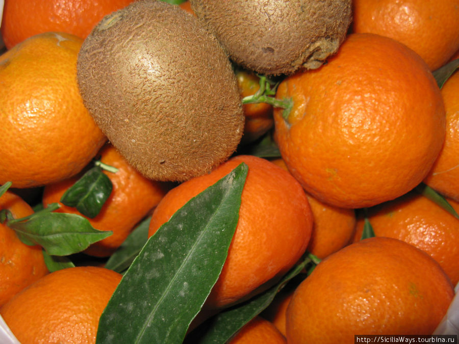 Киви, мандарины и клементины (гибрид мандарина и апельсина). Сицилия, Италия