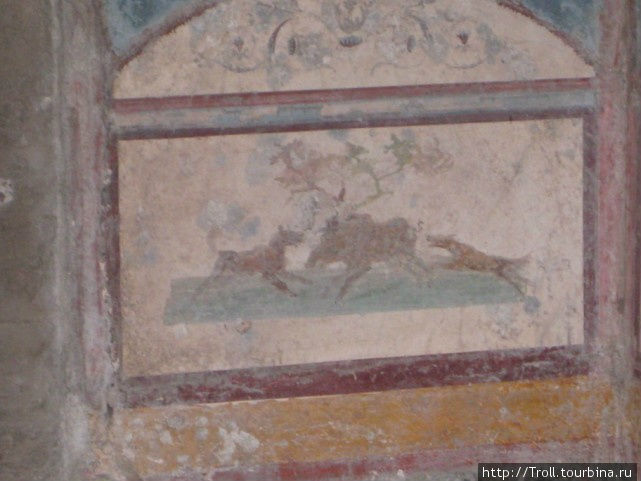 Охота на кабана Помпеи, Италия