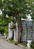 Через пару сотен лет тут будет Анкор Ват местного разлива