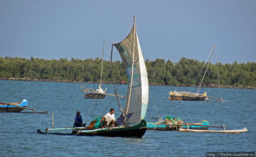 Рыбацкая бухта в Тулиаре. Прилив, рыбаки возвращаются Тулиара, Мадагаскар