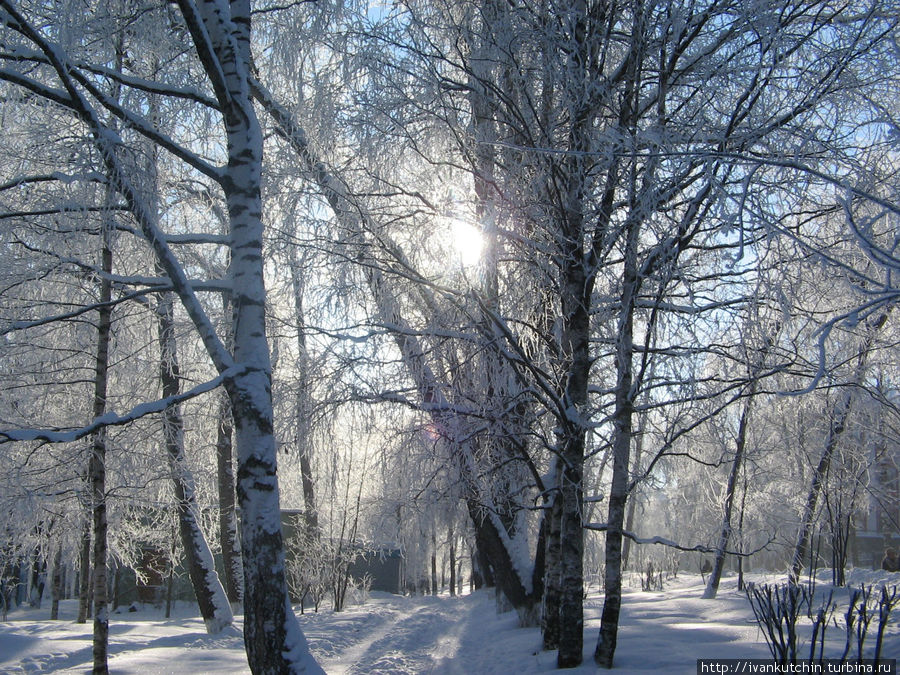 Центральный парк новосибирск зимой