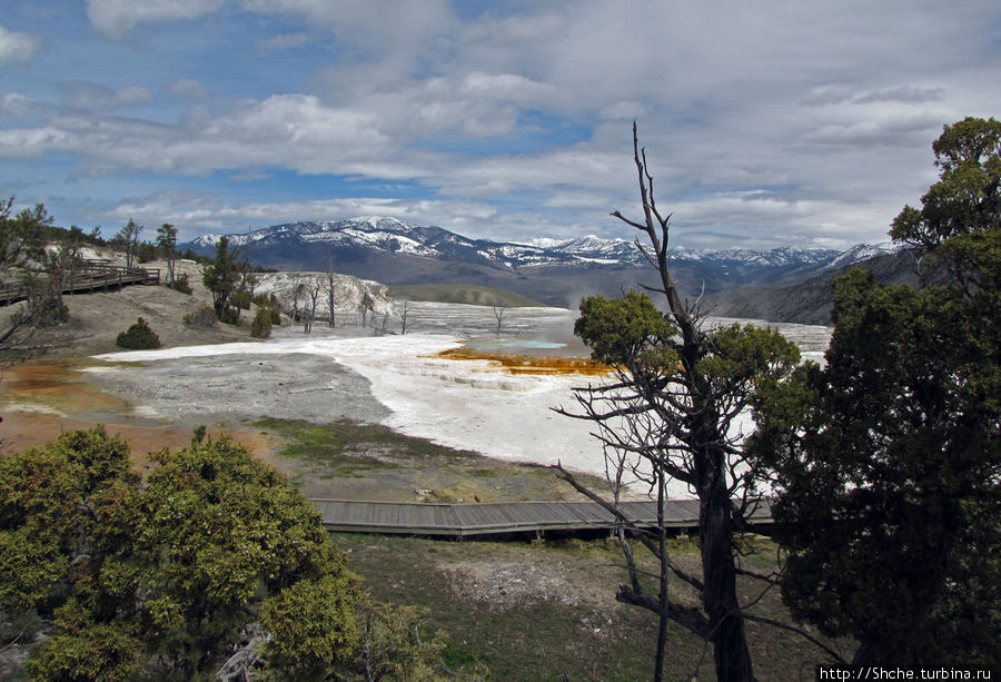 Террасы Мамонтовых горячих источников (Mammoth Hot Spring) Йеллоустоун Национальный Парк, CША