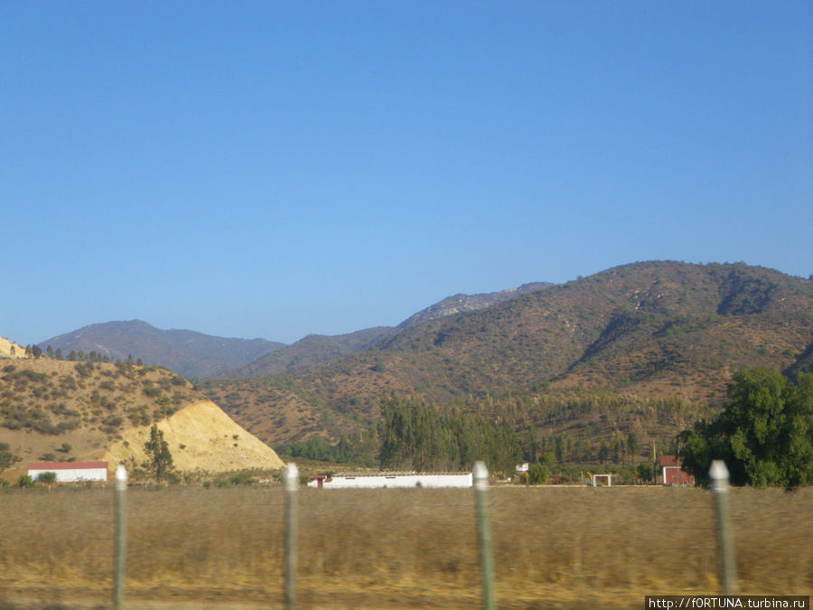 Винная долина Майпо Исла-де-Майпо, Чили