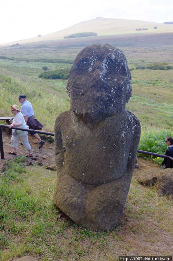 Первый моаи откопанный Туром Хейрдалом Остров Пасхи, Чили