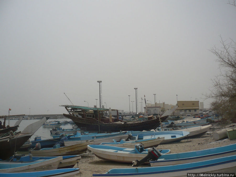Круиз по Оманскому заливу Регион Мусандам, Оман