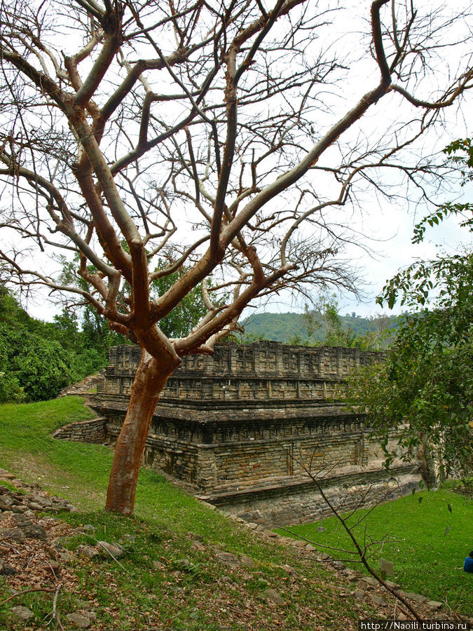 Легенда о городе грозы и грома Эль Тахин Эль-Тахин, Мексика