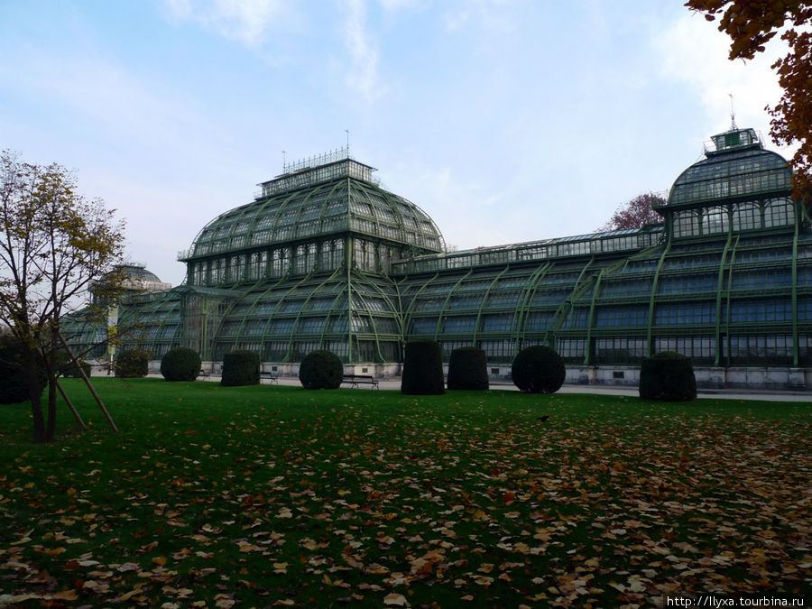 Пальмовая оранжерея (PalmHouse) Вена, Австрия