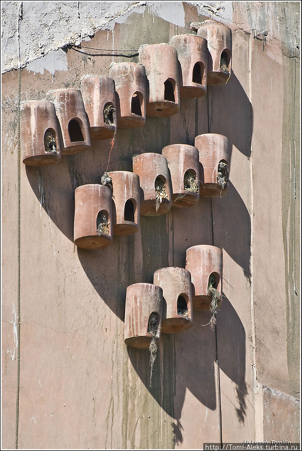 Что бы это могло быть? Конечно, — это домики для птиц — на торце дома для людей. Такой вот каирский вариант. Лично меня он впечатлил — и удобно и эстетично...
* Каир, Египет