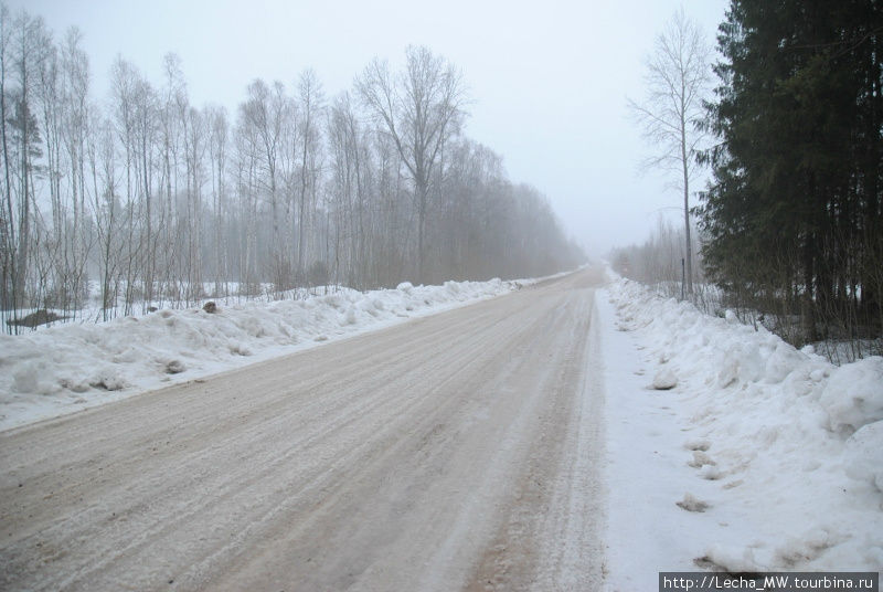 В весеннем лесу Лудза, Латвия