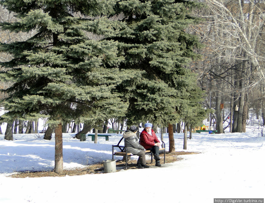 Что делать на пенсии, как ни сидеть на лавочке Екатеринбург, Россия