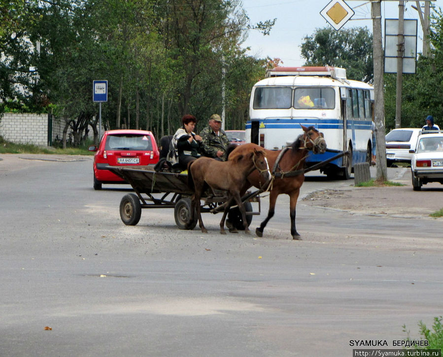 На телеге, запряженной лошадьми, лихо управляя на поворотах, пронеслась пара... Бердичев, Украина