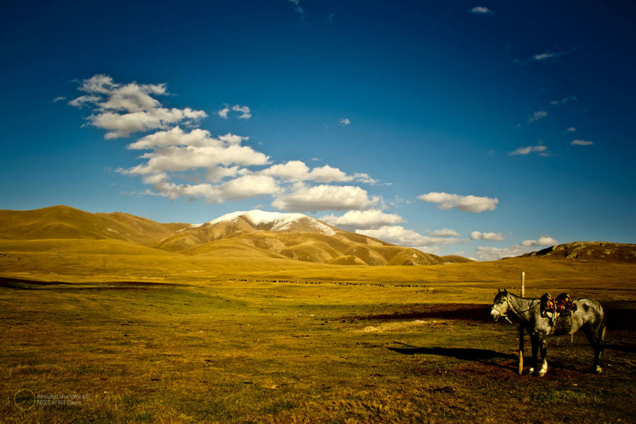 Моя лошадь. Озеро Сон-Куль, Киргизия