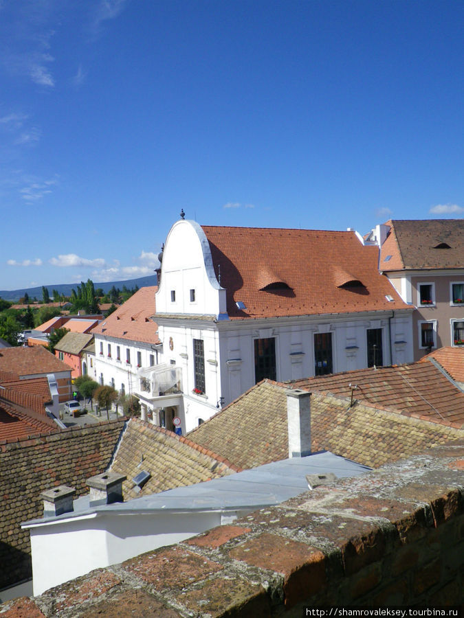 Черепичная крыша Городской ратуши Сентендре, Венгрия