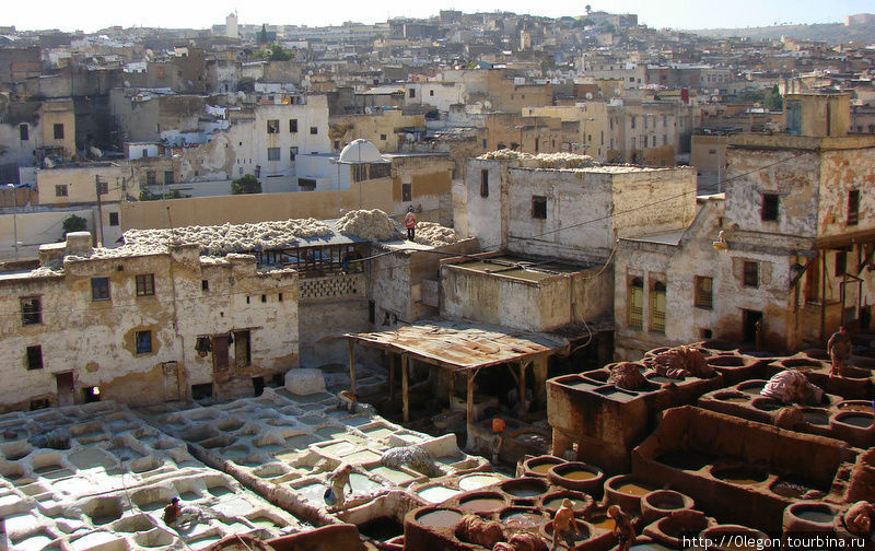 Трудяги Феса Фес, Марокко