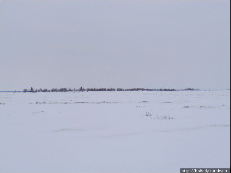 По снежной целине. Коткино — Нижняя Пёша Ненецкий автономный округ, Россия