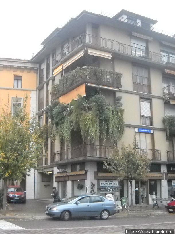 Волосатый домик Павия, Италия