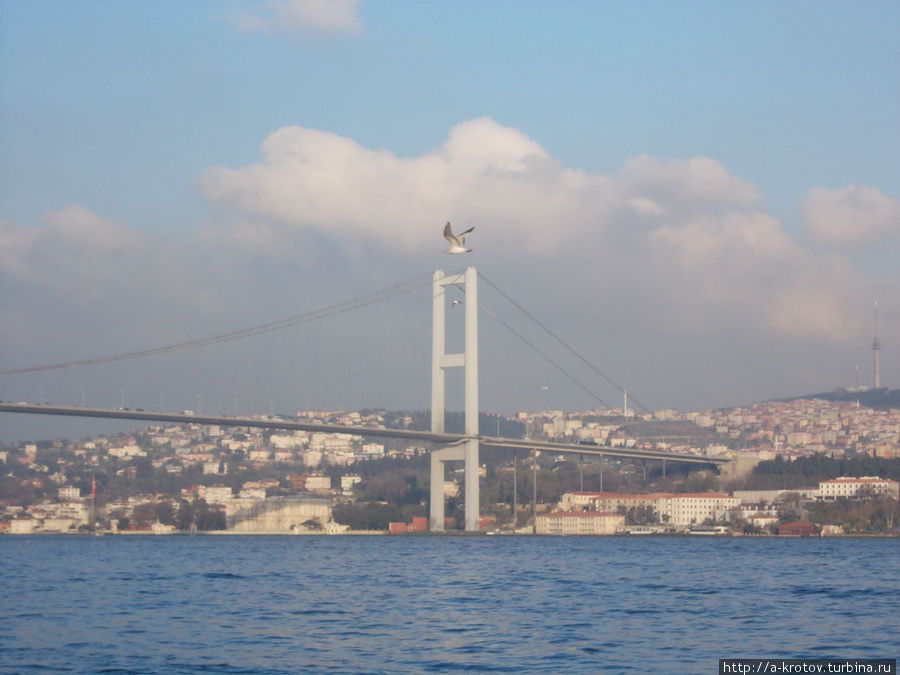Первый Босфорский Мост.
Редкая птица долетит до середины Босфора Стамбул, Турция