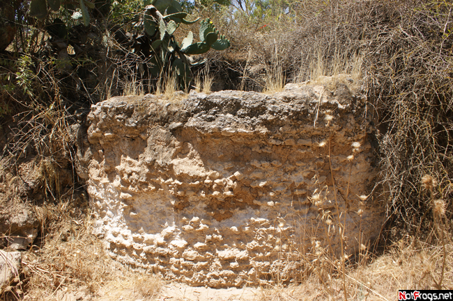 Последний на сегодня артефакт Южный округ, Израиль