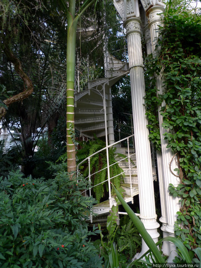 Пальмовая оранжерея (PalmHouse) Вена, Австрия