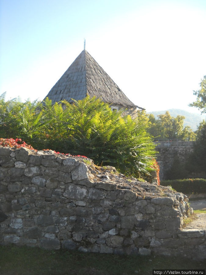 На камнях растут кусты Банья-Лука, Босния и Герцеговина