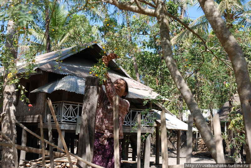 Чинская деревня -2 Мраук-У, Мьянма