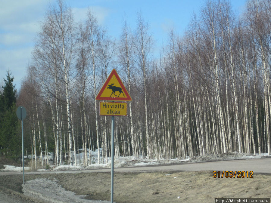 Этот значок частенько появлялся на нашем пути, оленей в Финляндии берегут Хельсинки, Финляндия